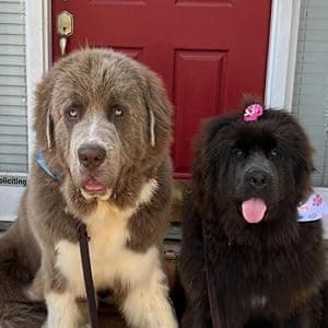 Scottie Arant, author of Big Biscuit and Huney